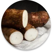 Wild Yam Root